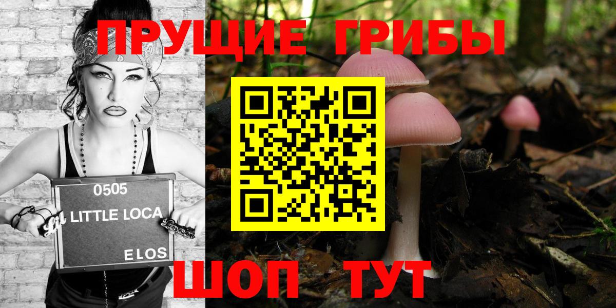 Галлюциногенные грибы Cubensis Якутск
